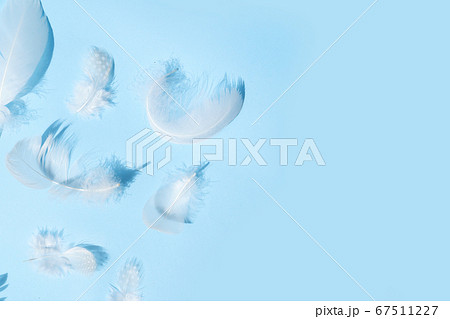 Colorful pattern made of feathers. Colorful pattern made of feathers. 67511227