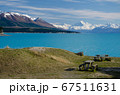 Distant view of Mount Cook across Lake Pukaki, South Island, New Zealand with benches in the foreground 67511631