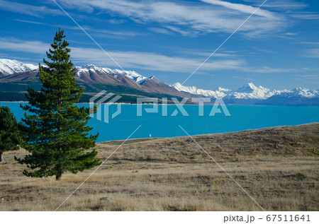Distant view of Mount Cook across Lake Pukaki with tree on the left, South Island, New Zealand Distant view of Mount Cook across Lake Pukaki with tree on the left, South Island, New Zealand 67511641