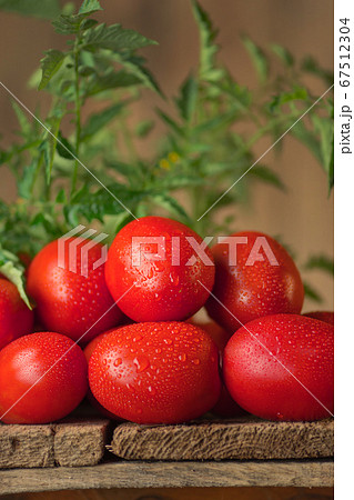 Fresh ripe delicious Roma tomatoes Fresh ripe delicious Roma tomatoes 67512304