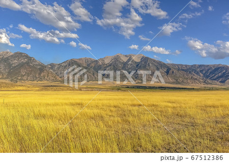 Mountain beyond grasses under blue sky with clouds 67512386