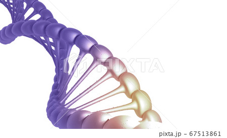 3D render DNA structure polygonal wireframe DNA 3D render DNA structure polygonal wireframe DNA 67513861