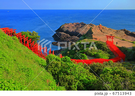 【山口県】晴天下の元乃隅神社 67513943