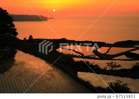 【山口県】東後畑棚田の夕焼け 【山口県】東後畑棚田の夕焼け 67513951
