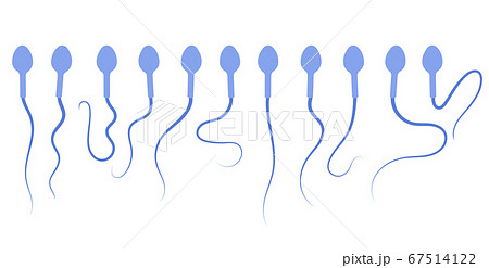 Reproductive system concept Reproductive system concept 67514122