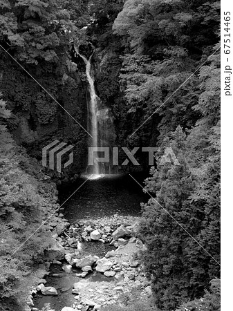 滝壺 滝壺 67514465