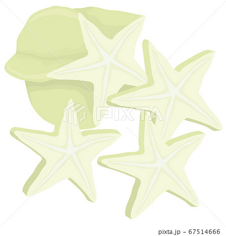 ポップなベクターイラストのスターフルーツ 67514666