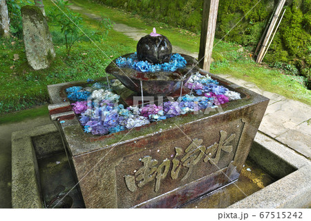 【観音寺 (あじさい寺)】 京都府福知山市字観音寺 67515242