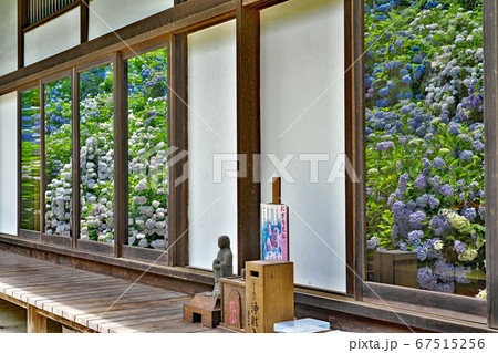 【観音寺 (あじさい寺)】 京都府福知山市字観音寺 67515256
