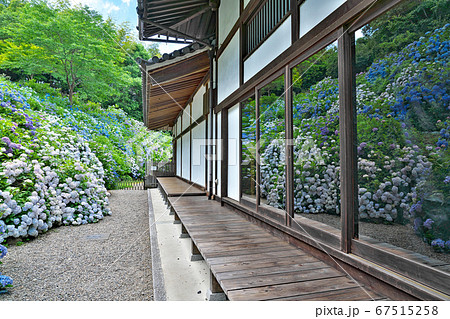 【観音寺 (あじさい寺)】 京都府福知山市字観音寺 【観音寺 (あじさい寺)】 京都府福知山市字観音寺 67515258