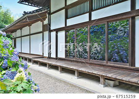 【観音寺 (あじさい寺)】 京都府福知山市字観音寺 【観音寺 (あじさい寺)】 京都府福知山市字観音寺 67515259