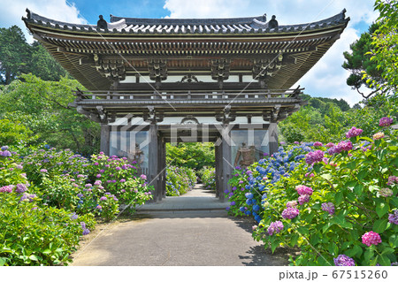 【観音寺 (あじさい寺)】 京都府福知山市字観音寺 【観音寺 (あじさい寺)】 京都府福知山市字観音寺 67515260