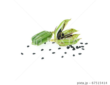 sesame seeds on white background. 67515414