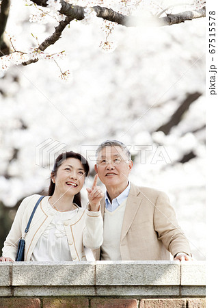花見をする中年夫婦 67515578