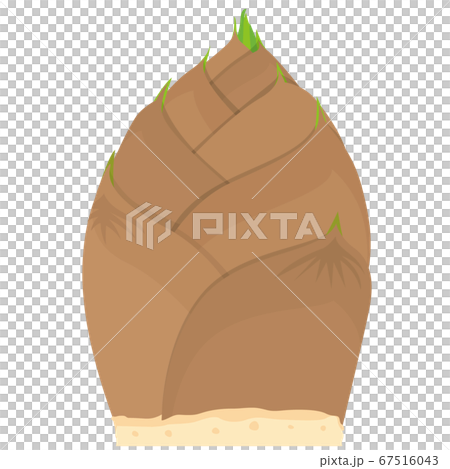 Bamboo shoot with pop illustration 67516043