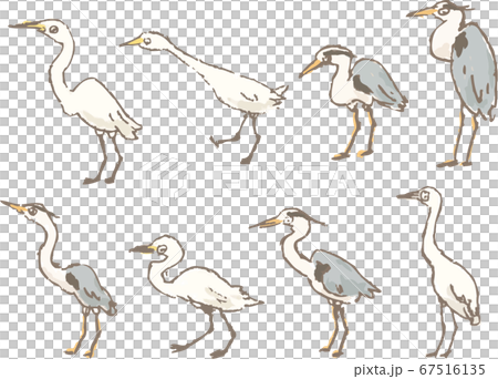Heart-warming icon-style herons 67516135