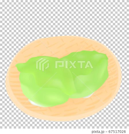 レタスの収穫（やさいのベクターイラスト） 67517026