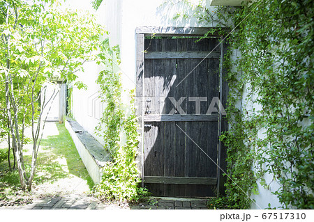 扉　新緑　夏　初夏 67517310