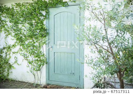 扉　新緑　夏　初夏 67517311