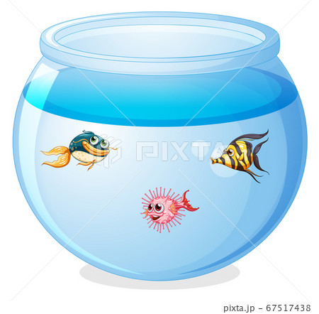 Cute fishes in the tank cartoon isolated Cute fishes in the tank cartoon isolated 67517438