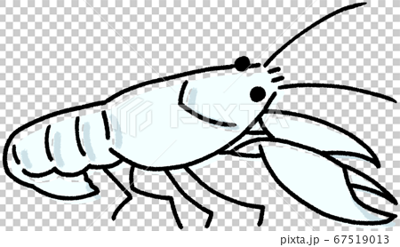 American Crawfish White Deviation Stock Illustration
