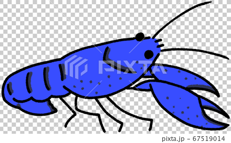American Crayfish Blue Stock Illustration