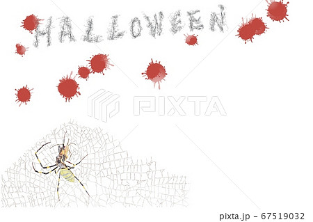 赤い渋き血 蜘蛛 ハロウィーンのイラスト素材