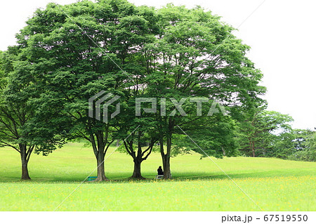 木陰で休憩の写真素材