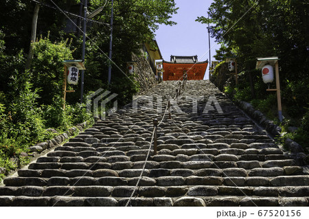 道後温泉　伊佐爾波神社　愛媛県松山市 67520156