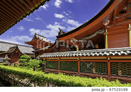 道後温泉　伊佐爾波神社　本殿　愛媛県松山市 67520199