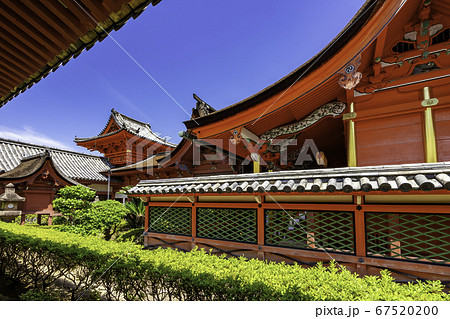 道後温泉　伊佐爾波神社　本殿　愛媛県松山市 67520200
