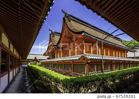 道後温泉　伊佐爾波神社　本殿　愛媛県松山市 67520201