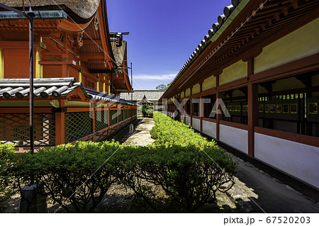 道後温泉　伊佐爾波神社　本殿　愛媛県松山市 67520203