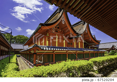 道後温泉　伊佐爾波神社　本殿　愛媛県松山市 67520204