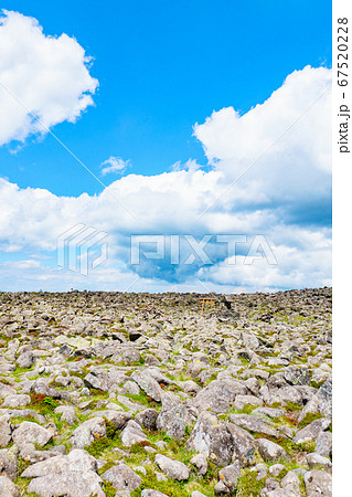 初夏の蓼科山登山：山頂の風景 67520228
