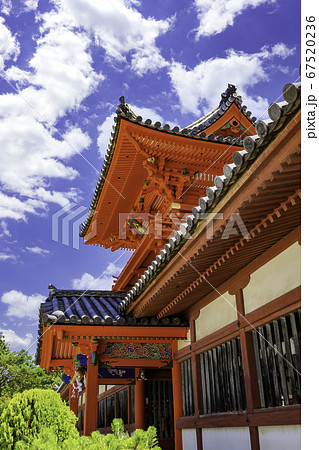 道後温泉　伊佐爾波神社　楼門　愛媛県松山市 67520236