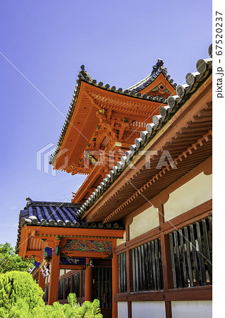 道後温泉　伊佐爾波神社　楼門　愛媛県松山市 67520237