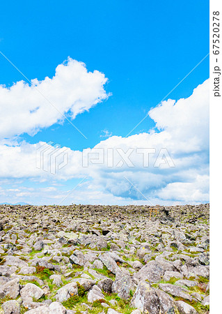 初夏の蓼科山登山：山頂の風景 67520278