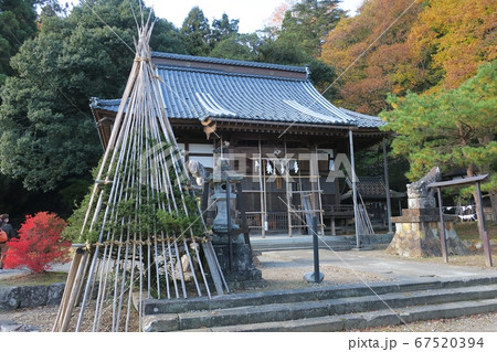 大野城登山口柳廼社 67520394