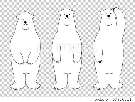 standing polar bear drawing