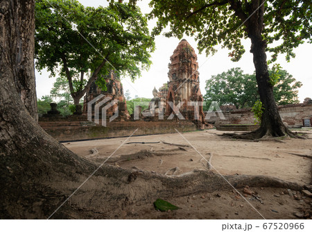 Wat Maha Tha , Ayutthaya Historical Park,Thailand Wat Maha Tha , Ayutthaya Historical Park,Thailand 67520966