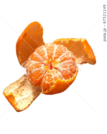 皮を剥いたみかん　 白背景 67521149