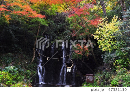 箱根湯本 玉簾の滝と紅葉 箱根湯本 玉簾の滝と紅葉 67521150