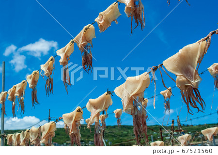 沖縄の観光地、奥武島の夏の風物詩の青空に天 67521560