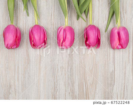 Spring pink tulips on wooden background. The view Spring pink tulips on wooden background. The view 67522248
