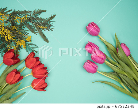 Spring flowers on a turquoise background. The view Spring flowers on a turquoise background. The view 67522249