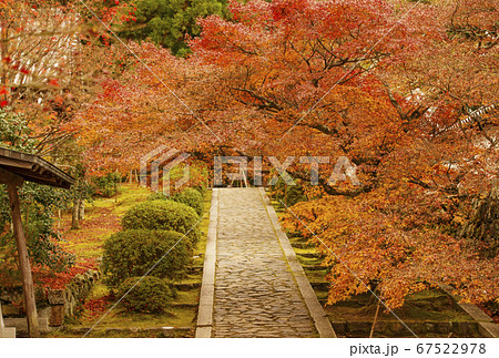 酬恩庵一休寺 京都の紅葉の名所 秋の京都観光スポット の写真素材