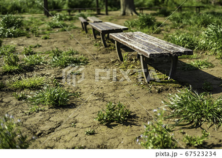 公園のベンチ 公園のベンチ 67523234