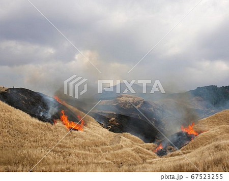 早春の阿蘇路風物詩 野焼き (熊本県阿蘇山) 早春の阿蘇路風物詩 野焼き (熊本県阿蘇山) 67523255