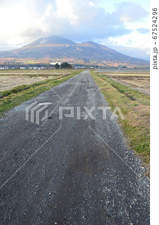 一本道の先に磐梯山(福島県耶麻郡猪苗代町) 一本道の先に磐梯山(福島県耶麻郡猪苗代町) 67524296